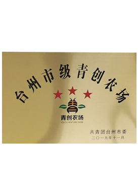 台州市级青创农场