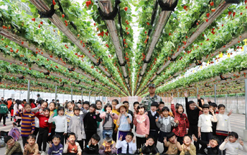 绿沃川空中草莓留影